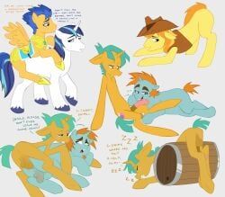 braeburn_(mlp), flash_sentry, shining_armor_(mlp), snails_(mlp), snips_(mlp)