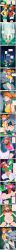 gardevoir, kasumi_(pokemon), machamp, may_(pokemon), nintendo