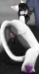 2_penises, after_fellatio, after_oral, after_sex, animal_genitalia