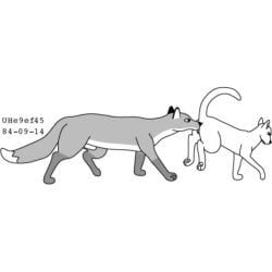 urbanhermit, animal_genitalia, canid, canine, domestic_cat