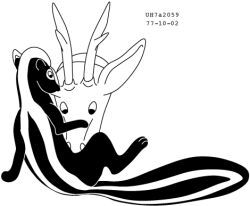 urbanhermit, antlers, black_body, black_fur, deer