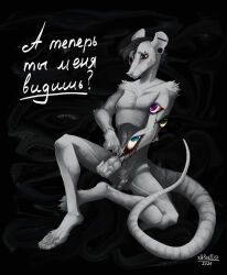lil_beetle, anthro, blood, bodily_fluids, genitals