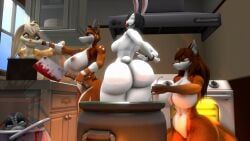 lola_bunny, dolcett, looney_tunes, warner_brothers, ambrosebowie