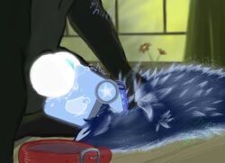 protogen, animal_genitalia, animal_penis, anthro, armorless_protogen