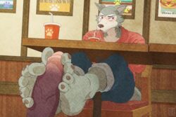legoshi_(beastars), beastars, 3rdharleyjoe, 5_toes, anthro