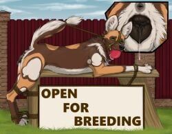 clover_(mint-oreo), dorosheva-e, african_wild_dog, animal_genitalia, animal_pussy