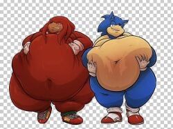 knuckles_the_echidna, sonic_the_hedgehog, sega, sonic_(series), sonic_the_hedgehog_(series)