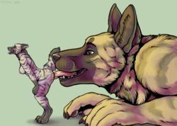 marjani, ambiguous_gender, anthro, canid, canine