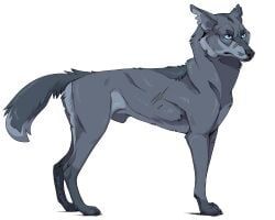 stonefur_(warriors), warriors_(book_series), alternate_form, alternate_species, animal_genitalia