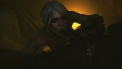 ciri, the_witcher_(series), the_witcher_3:_wild_hunt, stephanie23, 1boy