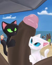 jack_marchimelow, audience, beach, being_watched, bestiality