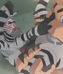 alakay_alex, marty_the_zebra, dreamworks, dreamworks_animation, madagascar_(series)
