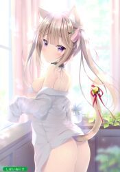 melonbooks, original, shibainu_niki, 1girl, ass
