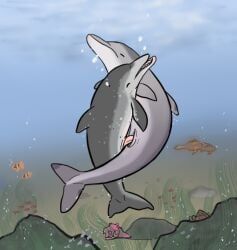 flippin-rad, aquatic, atlantic_spotted_dolphin, bubble, cetacean