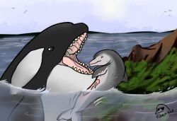 flippin-rad, ambiguous_gender, animal_genitalia, animal_penis, aquatic