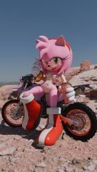 amy_rose, sega, sonic_(series), sonic_the_hedgehog_(series), senna_source