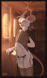 vyarwolf, anthro, balls, book, bookshelf