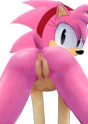 amy_rose, classic_amy_rose, sega, sonic_(series), sonic_the_hedgehog_(series)