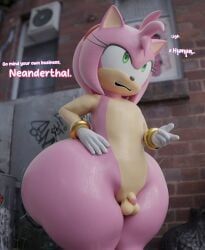 amy_rose, sega, sonic_(series), sonic_the_hedgehog_(series), uncle_aiden