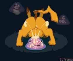 ditto_(pokemon), generation_1_pokemon, pikachu, pokemon_(species), nintendo