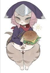 felyne, lynian, palico, tsukino_(monster_hunter_stories), capcom