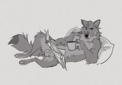 animal_genitalia, anthro, balls, canid, canine