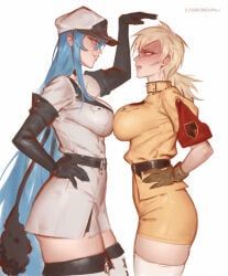 esdeath_(akame_ga_kill!), seras_victoria, akame_ga_kill!, hellsing, kanavachan