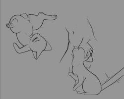 mrmystery_guy, abdominal_bulge, anal, anal_penetration, anus