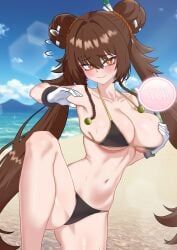 nen_master_(dungeon_and_fighter), dungeon_and_fighter, 1girls, beach, big_breasts