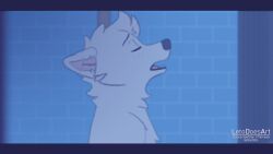letodoesart, anthro, arctic_fox, biped, black_nose