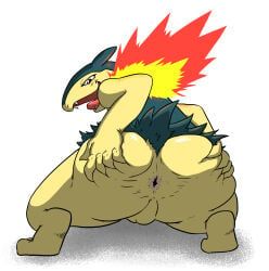 generation_2_pokemon, pokemon_(species), typhlosion, nintendo, pokemon