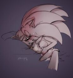 amy_rose, mobian_(species), sonic_the_hedgehog, sega, sonic_(series)