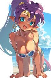 shantae_(character), shantae, life_is_pi, all_fours, bikini_bottom