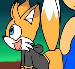 miles_tails_prower, nine_(sonic_prime), sonic_the_hedgehog, tails_the_fox, sonic_(series)