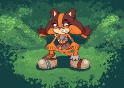 sticks_the_badger, sega, sonic_(series), sonic_boom, sonic_boom_(series)