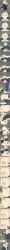 luxanna_crownguard, tianna_crownguard, demacia_rising, league_of_legends, legends_of_runeterra