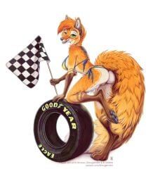 goodyear, checkered_flag, flag, furry, race