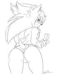 jet_the_hawk, sonic_the_hedgehog, sega, sonic_(series), sonic_the_hedgehog_(series)
