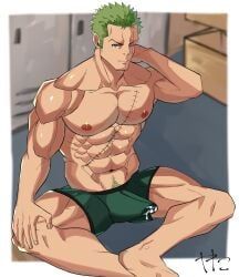 roronoa_zoro, one_piece, souyata0502, 1boy, abs