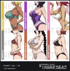 chizuru_honsho, cirucci_sanderwicci, cirucci_thunderwitch, haineko, honshou_chizuru