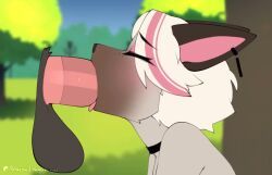 nea_(berrypunchz), berrypunchz, anthro, blowjob, blowjob_face