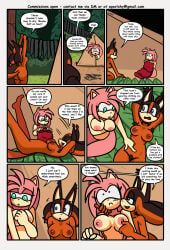 amy_rose, sticks_the_jungle_badger, sega, sonic_boom, sonic_the_hedgehog_(series)