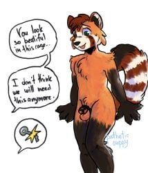 4_fingers, ailurid, anthro, balls, black_body