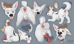 bolt_(bolt), bolt_(film), disney, tailbyte, anal