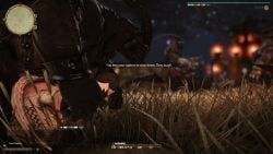 amalj'aa, au_ra, raen, final_fantasy, final_fantasy_xiv