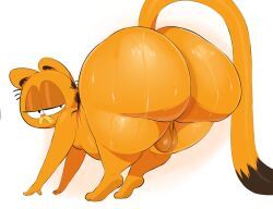 garfield_the_cat, garfield_(series), kingofacesx, 1boy, all_fours