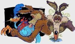 road_runner_(looney_tunes), wile_e._coyote, looney_tunes, warner_brothers, g0ddamnwhat