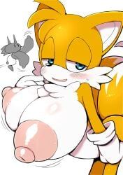 miles_tails_prower, sonique_the_hedgehog, tails_the_fox, tailsko, sonic_(series)