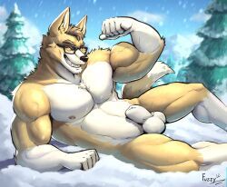 fuzziness, abs, animal_genitalia, anthro, balls