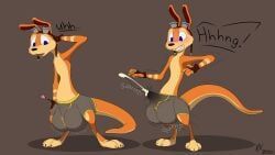 daxter, jak_and_daxter, naughty_dog, sony_corporation, sony_interactive_entertainment